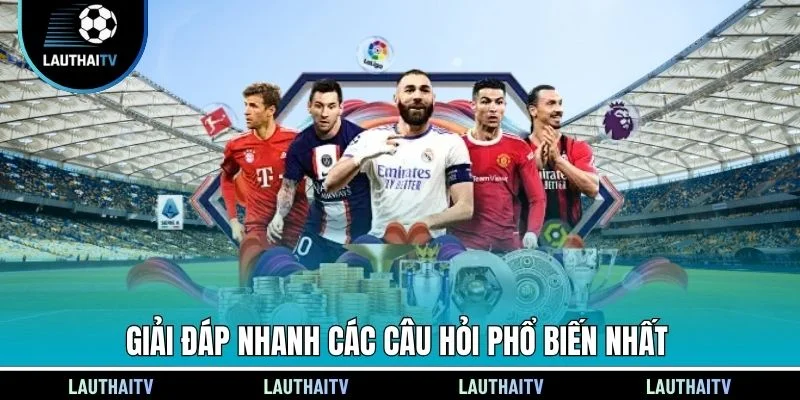 Giải đáp nhanh các câu hỏi phổ biến nhất